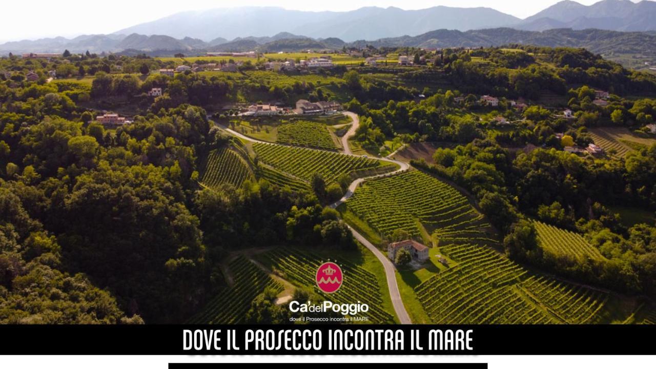 Villa Del Poggio Prosecco Bike Hotel San Pietro Di Feletto エクステリア 写真