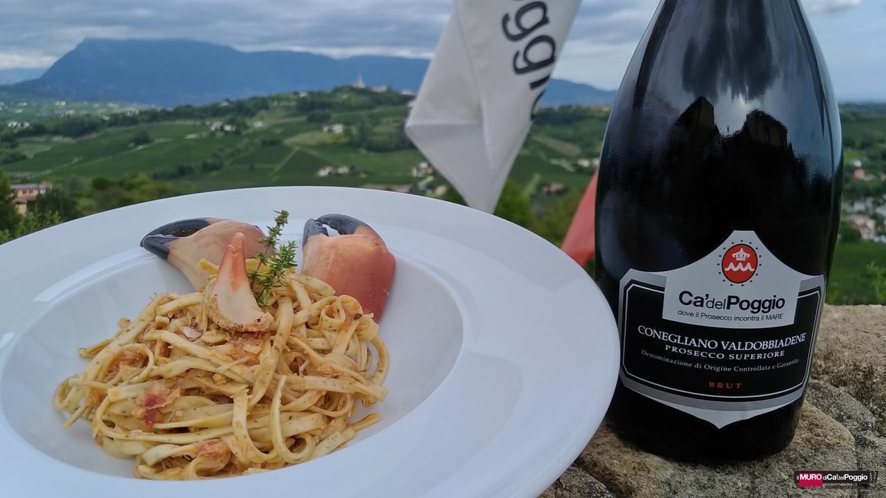 Villa Del Poggio Prosecco Bike Hotel San Pietro Di Feletto エクステリア 写真