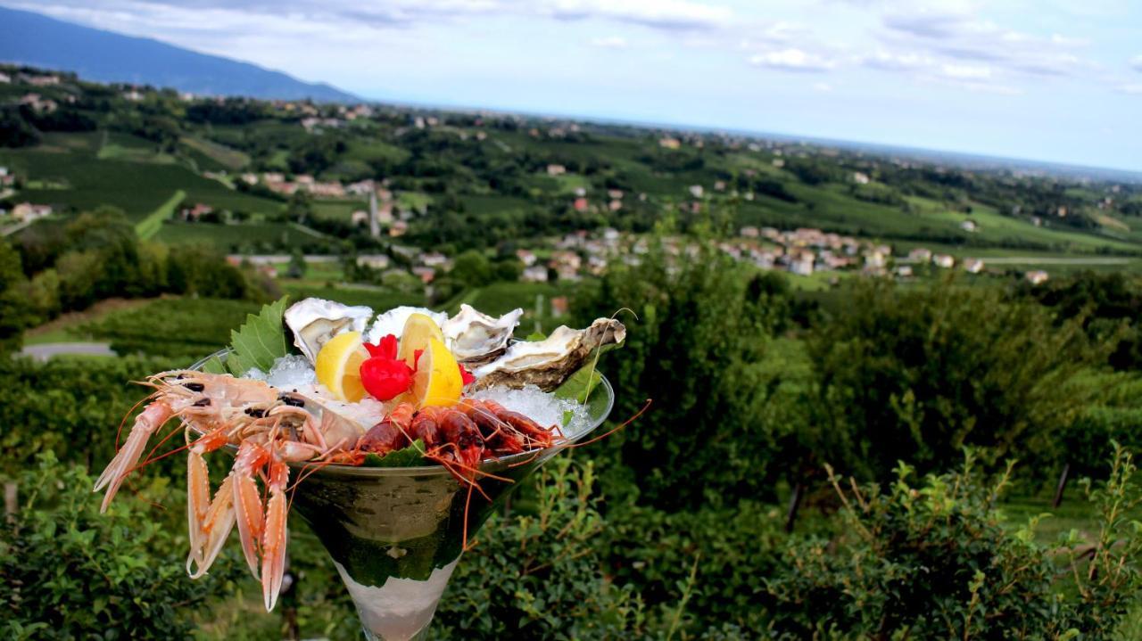 Villa Del Poggio Prosecco Bike Hotel San Pietro Di Feletto エクステリア 写真