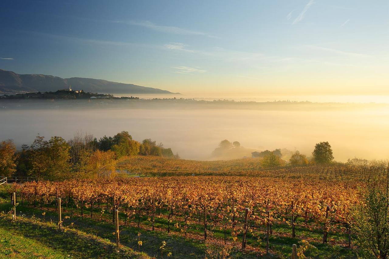 Villa Del Poggio Prosecco Bike Hotel San Pietro Di Feletto エクステリア 写真